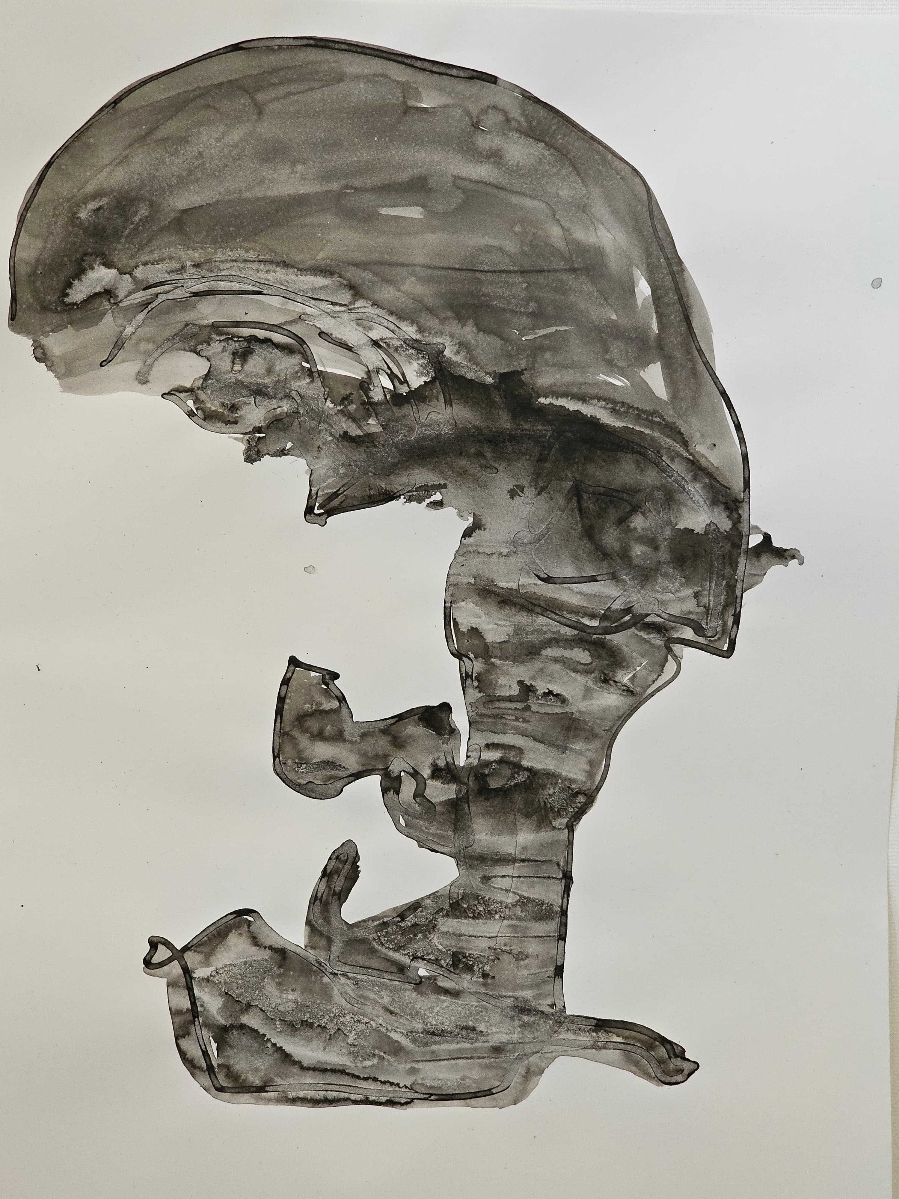 Portret 656 — Marija Marković